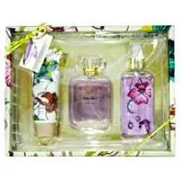 Coffret BETTERFLY FAIRY Brume 100ml EDT 50ml GD 80ml V.VLOVE
