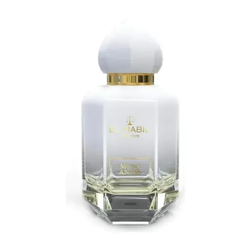 Eau de parfum MUSC ANASS 65ml EL NABIL
